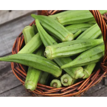 Lady Finger (40)-6906663-15714.webp